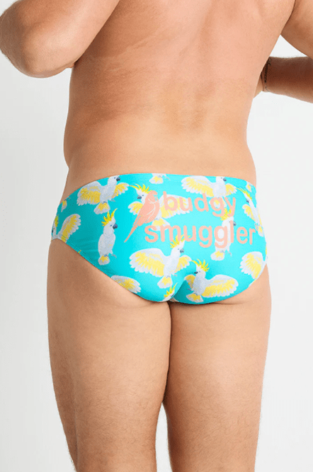 Green Cockies - Budgy Smuggler - Splash Swimwear  - Budgy Smuggler, mens briefs, mens swim, new arrivals, Oct23 - Splash Swimwear 