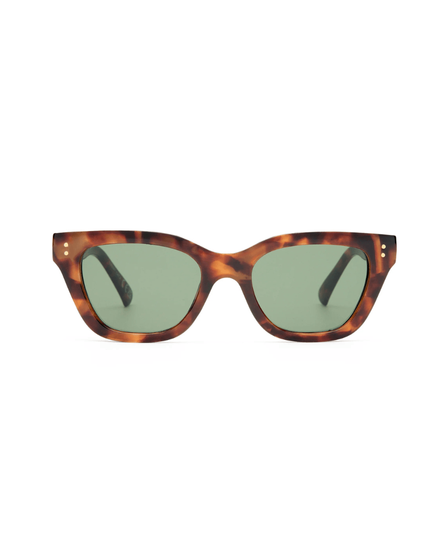 Aire AIRE Nightglow Sunnies - Dark Tort AIR2612377 Aire Whirlpool Sunnies - Black Splash Swimwear Sunnies 9324976448620