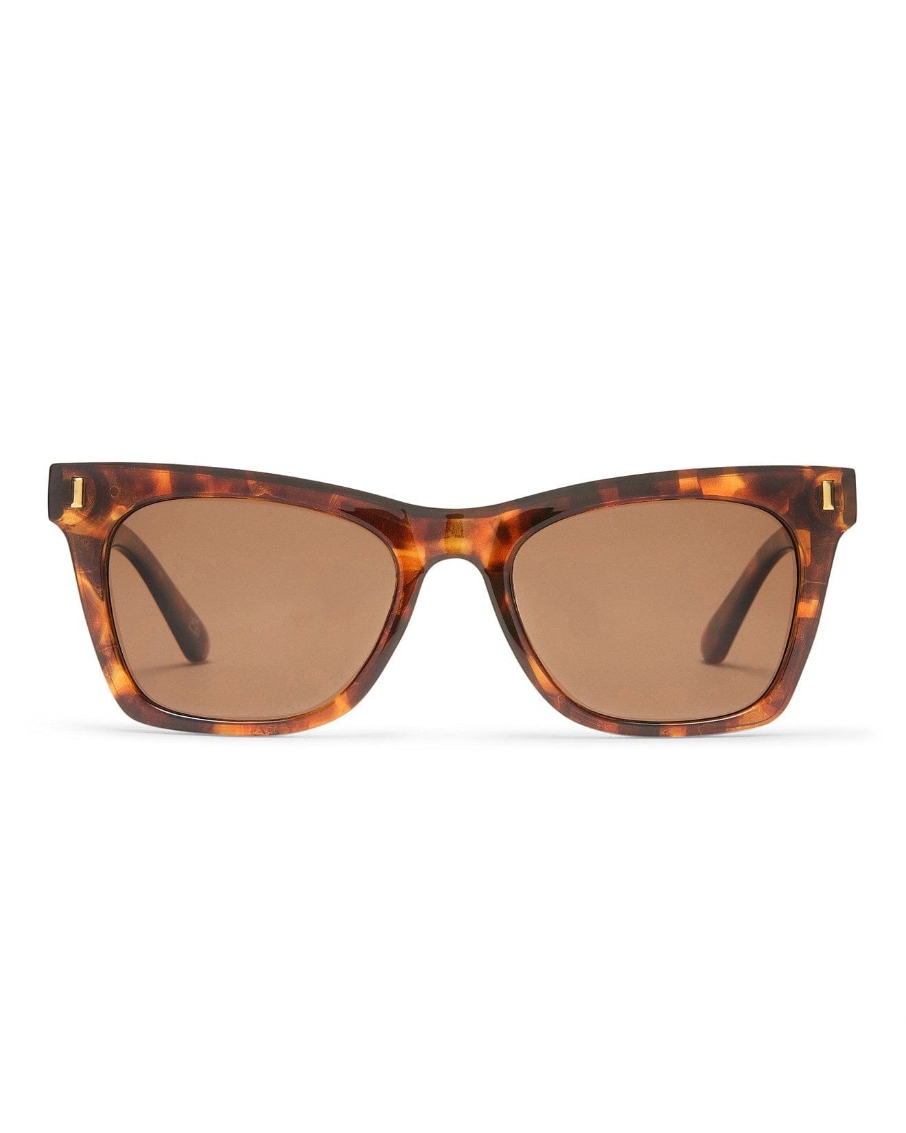 Aire Bellatrix Sunnies - Dart Tort AIR2542218 Bellatrix Sunnies - Dart Tort Splash Swimwear Sunnies 9324976428851