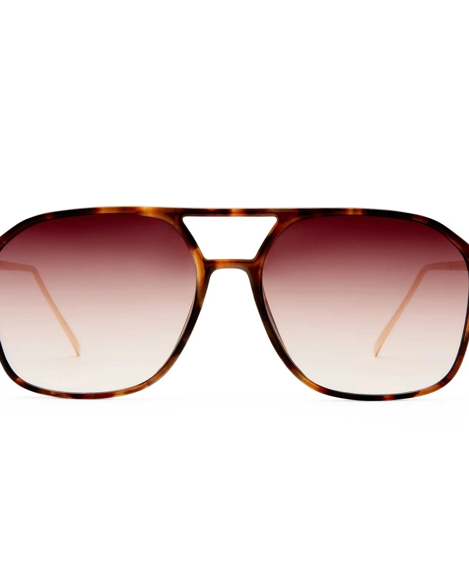 Aire Cusp Sunnies AIR2542318 Le Specs Whirlpool Sunnies Splash Swimwear Sunnies Dark Tort/ Gold 9324976438768