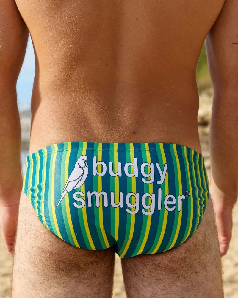 Budgy Smuggler Riviera Green Stripe Budgy Smuggler Sailor Stripes Dobule Blue Splash Swimwear Underwear