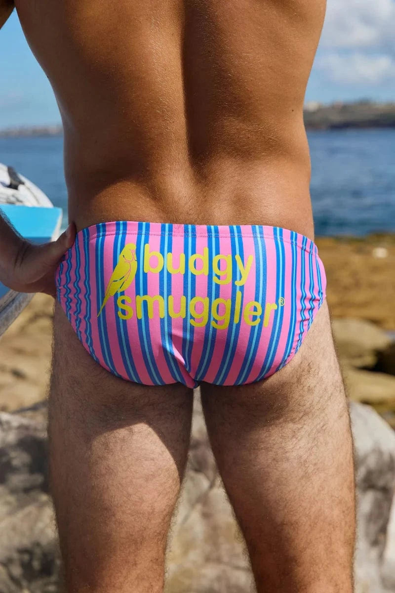 Budgy Smuggler Riviera Pink Stripe Riviera Pink Stripe Splash Swimwear Underwear