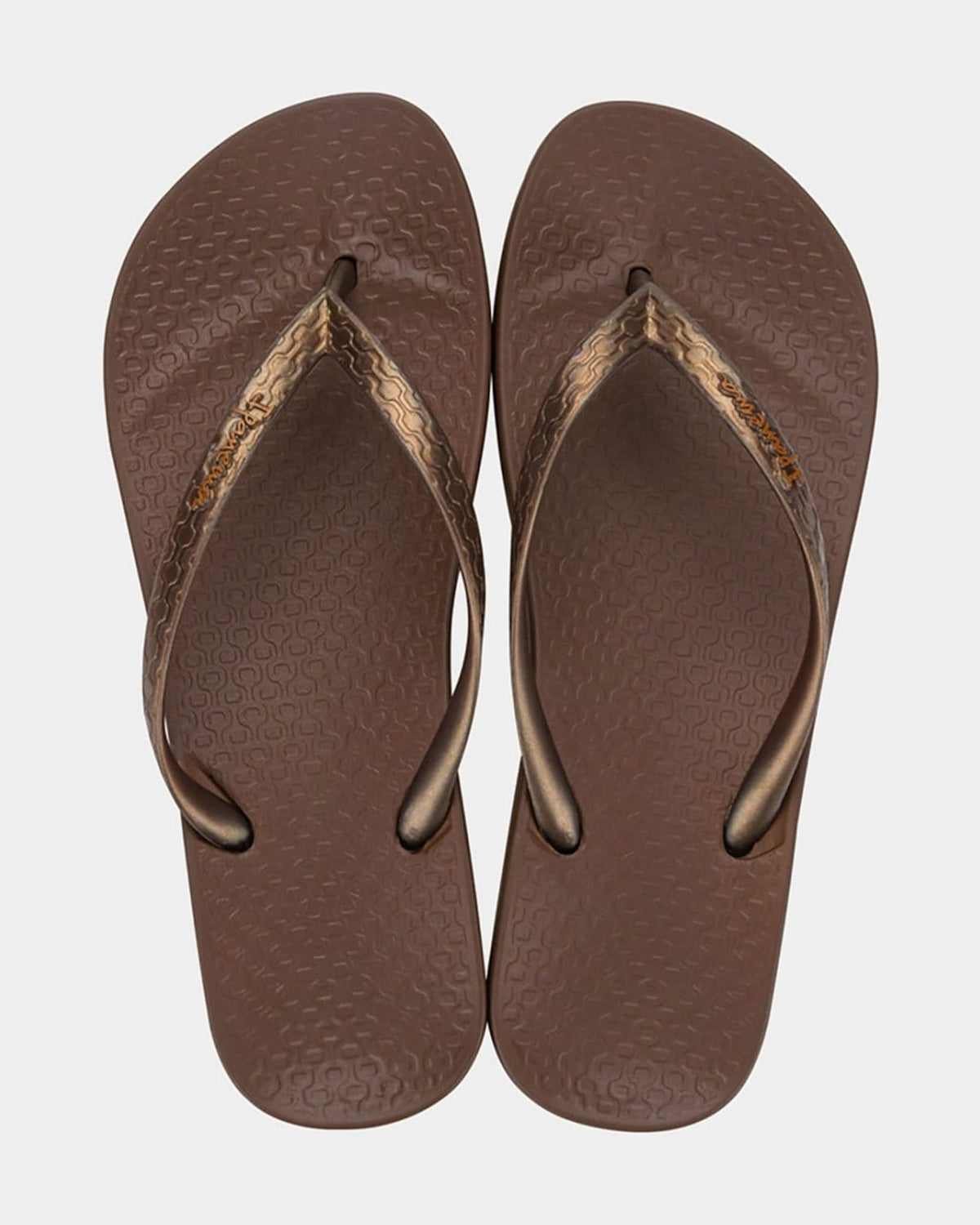 Ipanema Ipanema Anatomica Seasonal - Brown Bronze Ipanema Anatomica Seasonal Brown Bronze Splash Swimwear Thongs