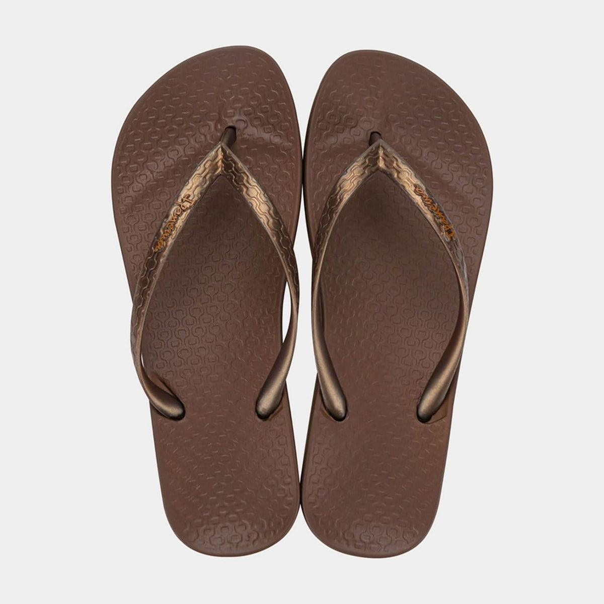 Ipanema Ipanema Anatomica Seasonal - Brown Bronze Ipanema Anatomica Seasonal Brown Bronze Splash Swimwear Thongs