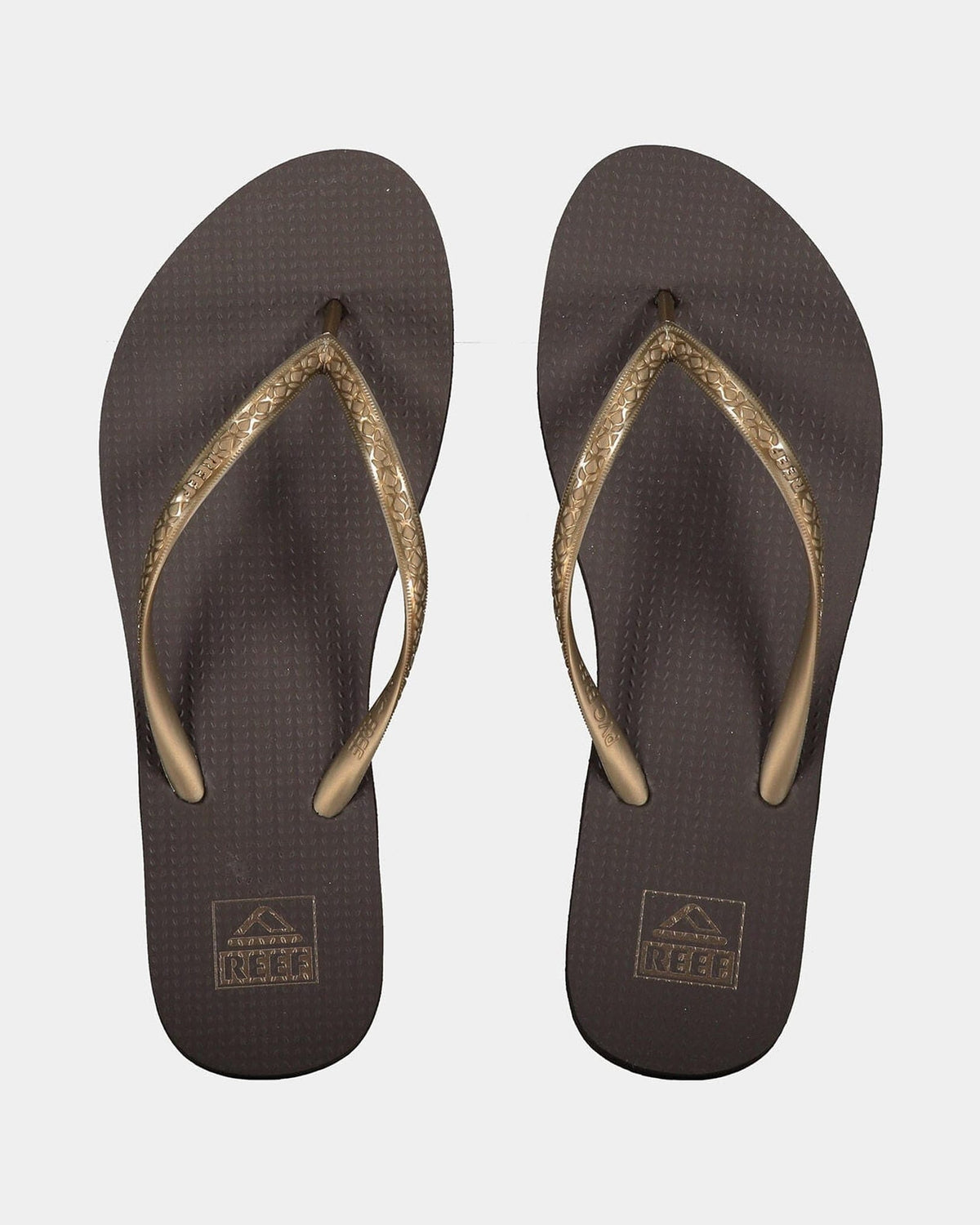 Reef Women's Seaside Thongs - Cocoa Women's Seaside Thongs - Cocoa Splash Swimwear Footwear