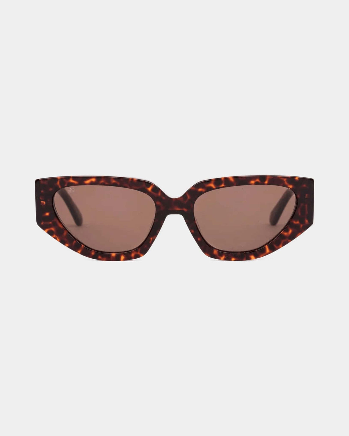 Sito Axis - Cheetah Lens Coffee SIAXS004S Axis - Cheetah Lens Coffee Splash Swimwear Accessories 9339740055003