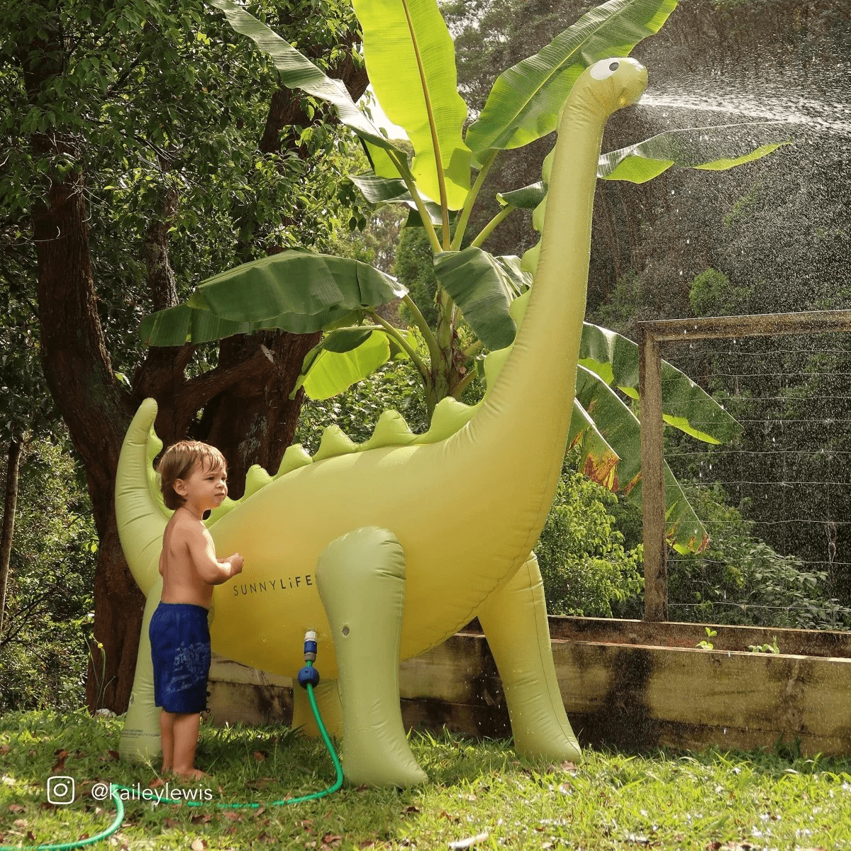 Sunnylife Dino Giant Sprinkler - Into The Wild Khaki S51GISDN Sunnylife Dive Buddies Set Of 3 - Into The Wild Splash Swimwear