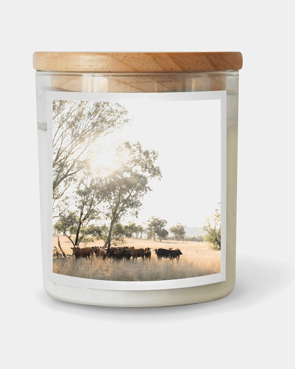 The Commonfolk Grazing Friends Candle 31162351015673 Grazing Friends Candle Splash Swimwear Health & Beauty 1000022422