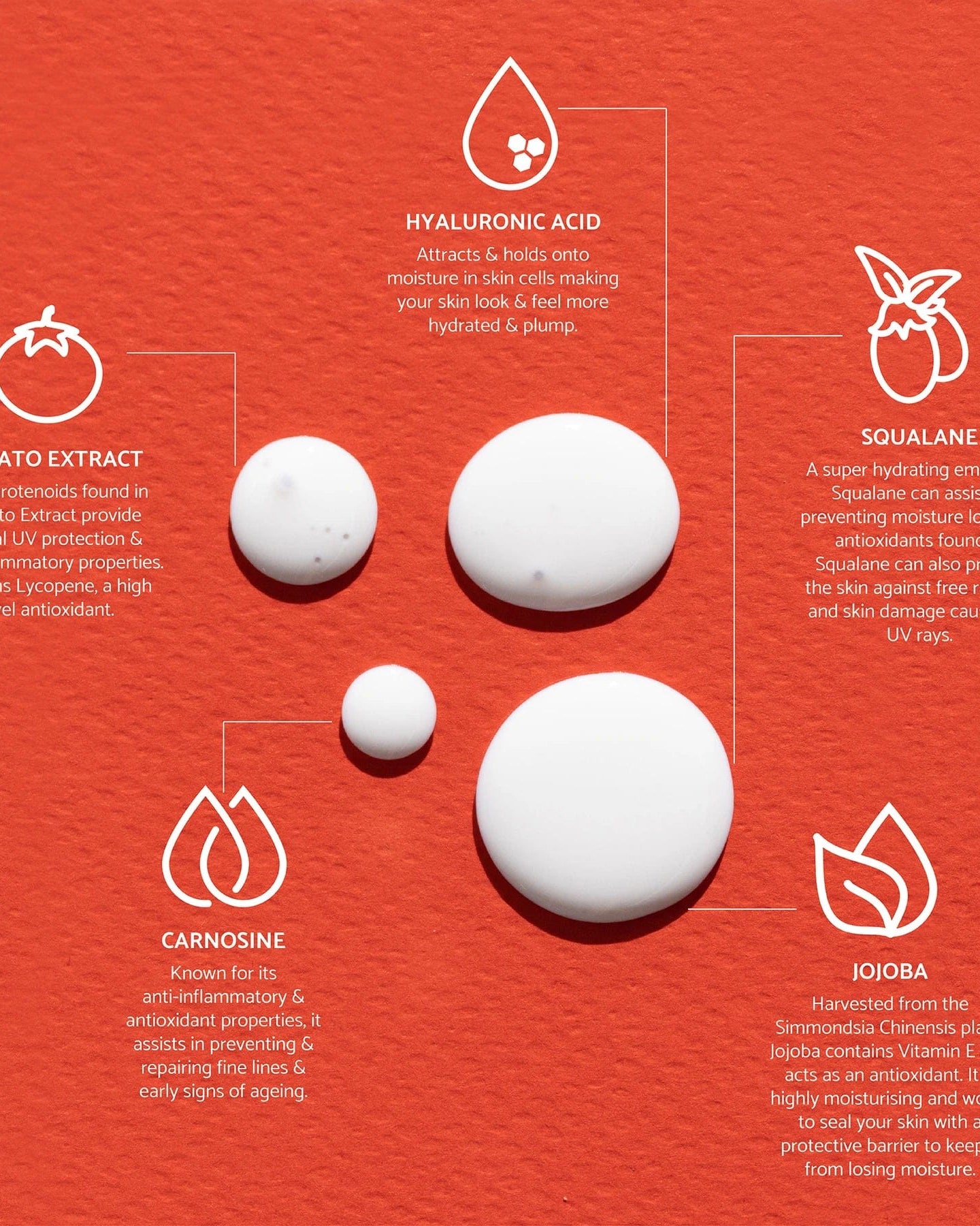 We Are Feel Good Inc. Good Morning SPF 50 FGAM50 Splash Swimwear Health & Beauty 50ml 9359702000346