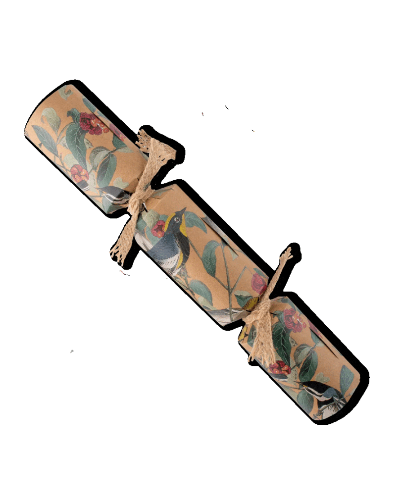 Crackers for Bon Bons Bon Bons - Spring Birds