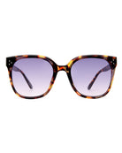 Aire Aire Elementa Sunnies - Amber Tort AIR2612438 Aire Elementa Sunnies - Amber Tort Splash Swimwear Sunnies 9324976453730