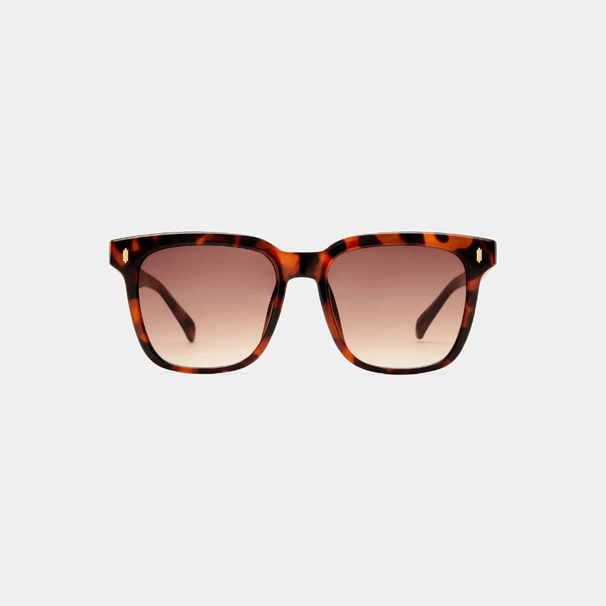 Aire Aire Lunar Sunnies - Honey Tort AIR2512364 Aire Lunar Sunnies - Honey Tort Splash Swimwear Sunnies 9324976445438