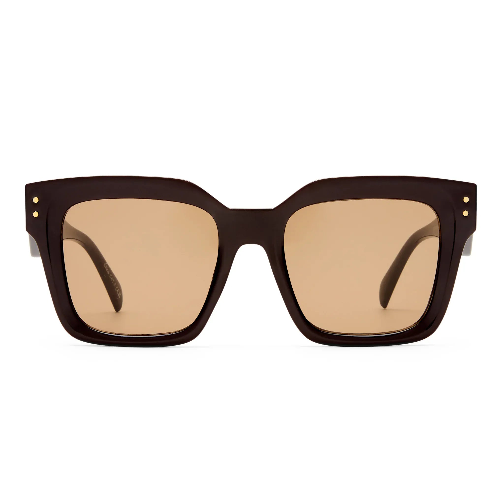Aire Aire Magnitude Sunnies - Chocolate AIR2612325 Aire Aire Magnitude Sunnies - Chocolate Splash Swimwear Sunnies 9324976442420