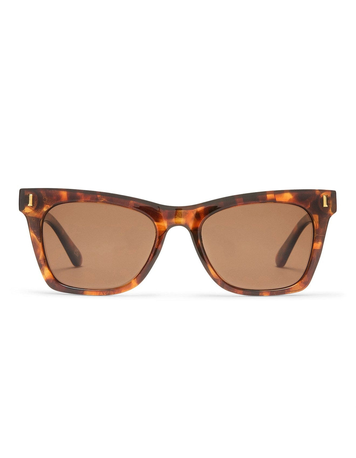 Aire Bellatrix Sunnies - Dart Tort AIR2542218 Bellatrix Sunnies - Dart Tort Splash Swimwear Sunnies 9324976428851