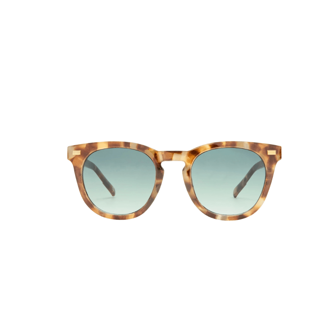 Aire Evolution Sunnies - Dark Tort AIR2542248 Le Specs Whirlpool Sunnies Splash Swimwear Sunnies 9324976431301