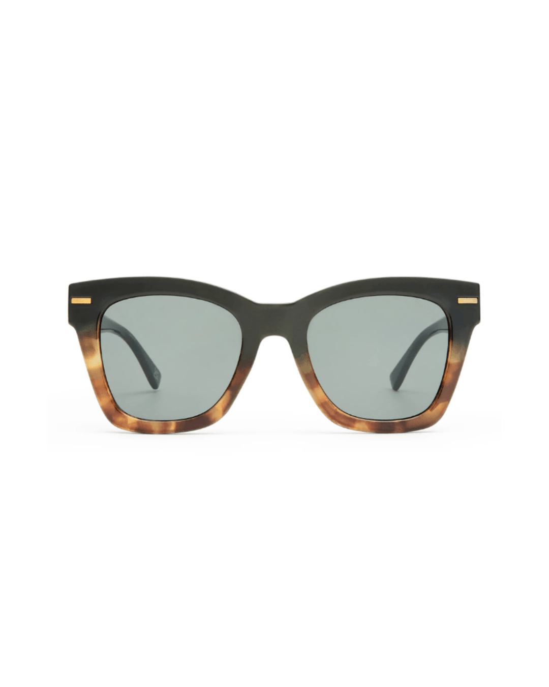 Aire Intergalactic Sunnies AIRE Persei Sunnies - Dark Tort Polarised Splash Swimwear Sunglasses