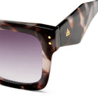 Aire Magnitude Sunnies - Clouded Tort AIR2612327 Aire Magnitude Sunnies - Clouded Tort Splash Swimwear Sunnies 9324976442444