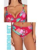 Baku Baku Cala Luna C/DD Bra & Mid Pant Bikini Set - Raspberry BRA100CLA+PANT632CLA-RSP-12 Baku Cala Luna C/DD Bra & Mid Pant Bikini Set - Raspberry Splash Swimwear Bikini Set 12 38798071038809