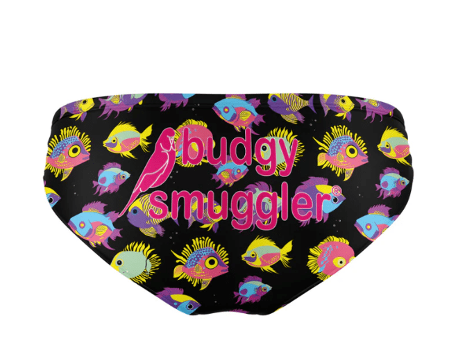 Budgy Smuggler Mens Swimwear Angry Fishing For Compliments Budgy Smuggler Palm Trees