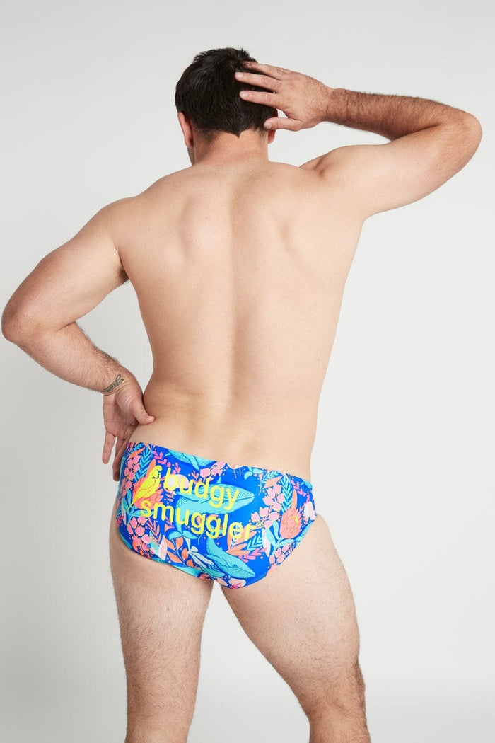 Budgy Smuggler Underwear 36 Blue Whale Budgy Smuggler Blue Whale