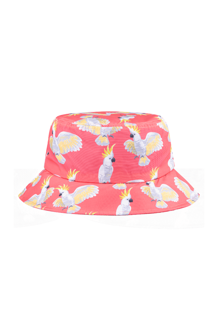 Budgy Smuggler Hats Bucket Hat 2.0 in Cockies