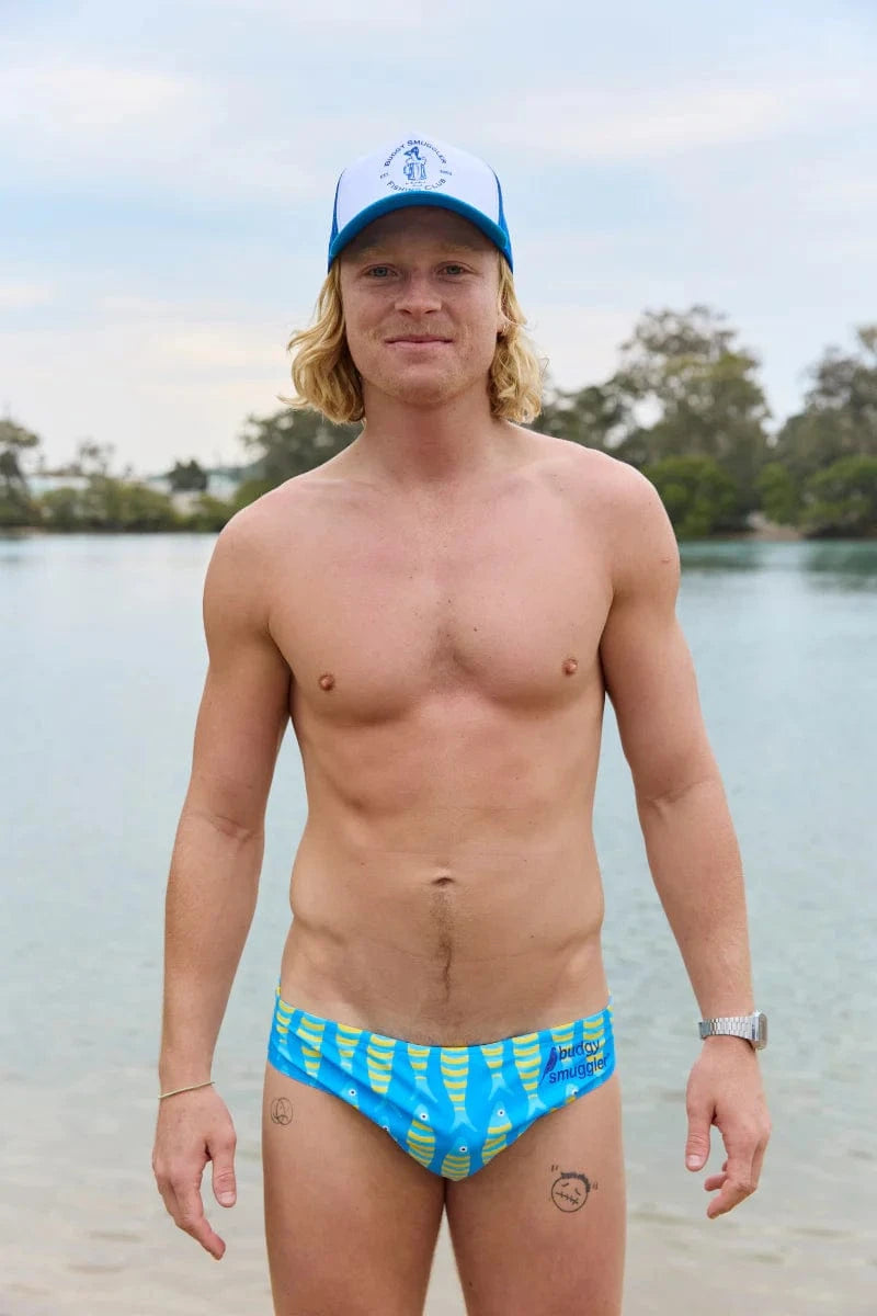 Budgy Smuggler Sardines Budgy Smuggler Sardines Splash Swimwear Mens Brief