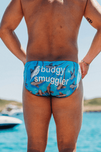 Budgy Smuggler Underwear Sharks Budgy Smuggler Sharks