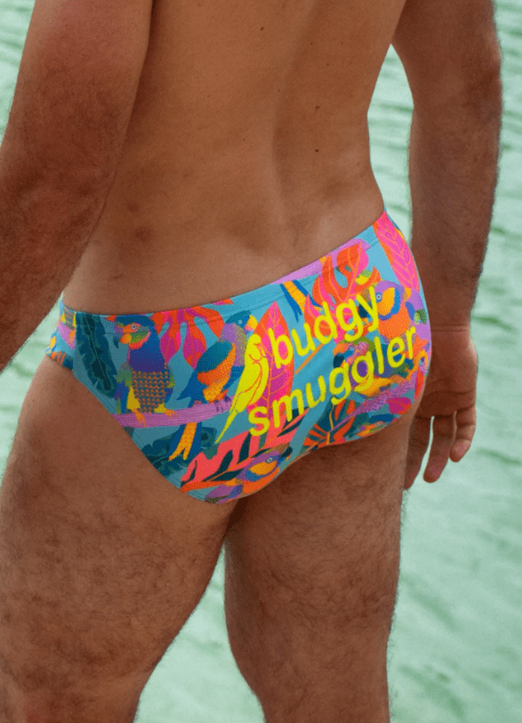 Budgy Smuggler Mens Brief Techno Parrots Budgy Smuggler Palm Trees