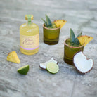 Designworks Collective Pina Colada Cocktail Mixer Designworks Puzzle In A Tube - Budapest Splash Swimwear 840214823206