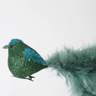 Florabelle Living Carnivale Clip on Birds Set of 3 X250471 Carnivale Clip on Birds Set of 3 Splash Swimwear Chirstmas Decorations