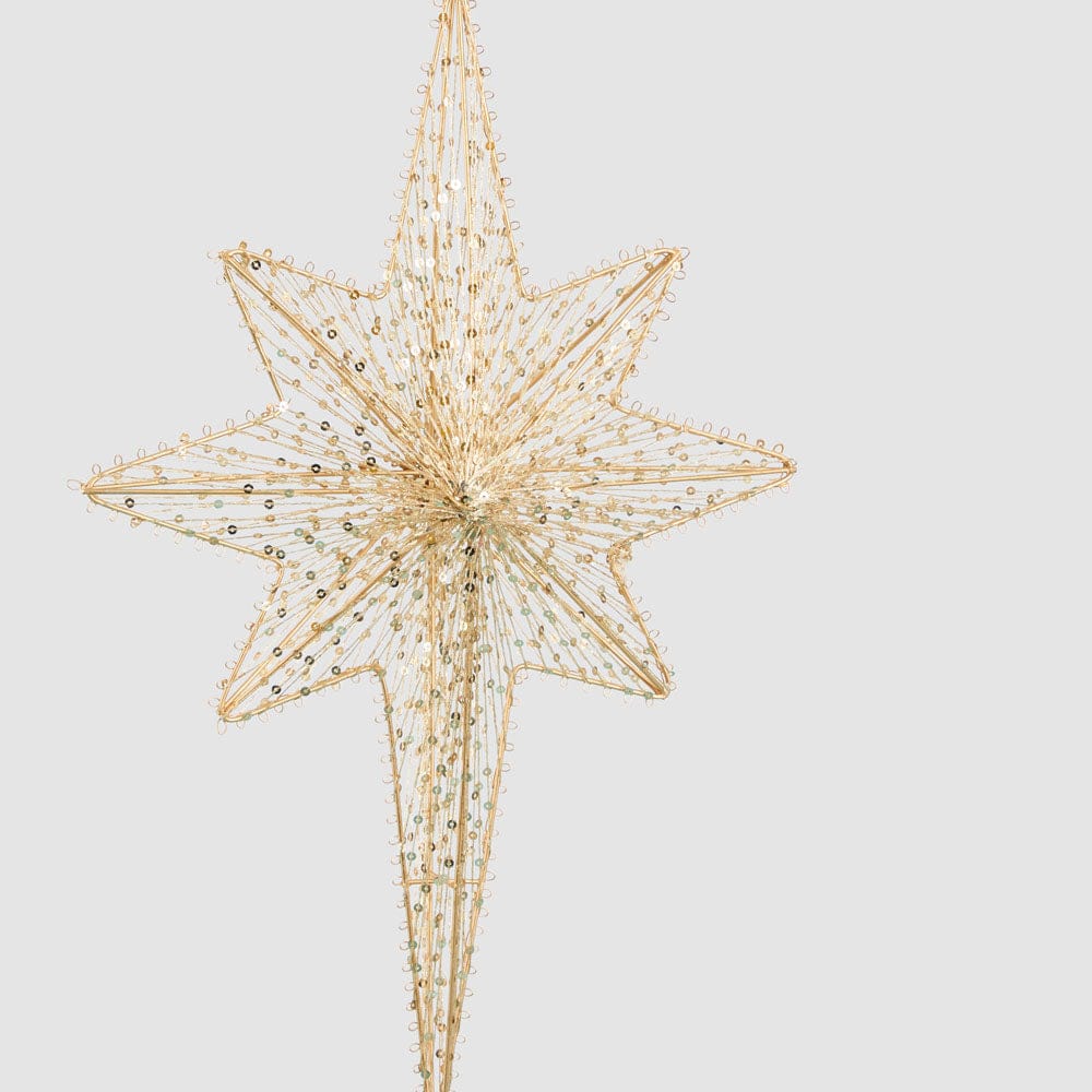 Florabelle Living Polaris Golden Star Decoration X261214 Polaris Golden Star Decoration Splash Swimwear Christmas Decoration 9339483310087