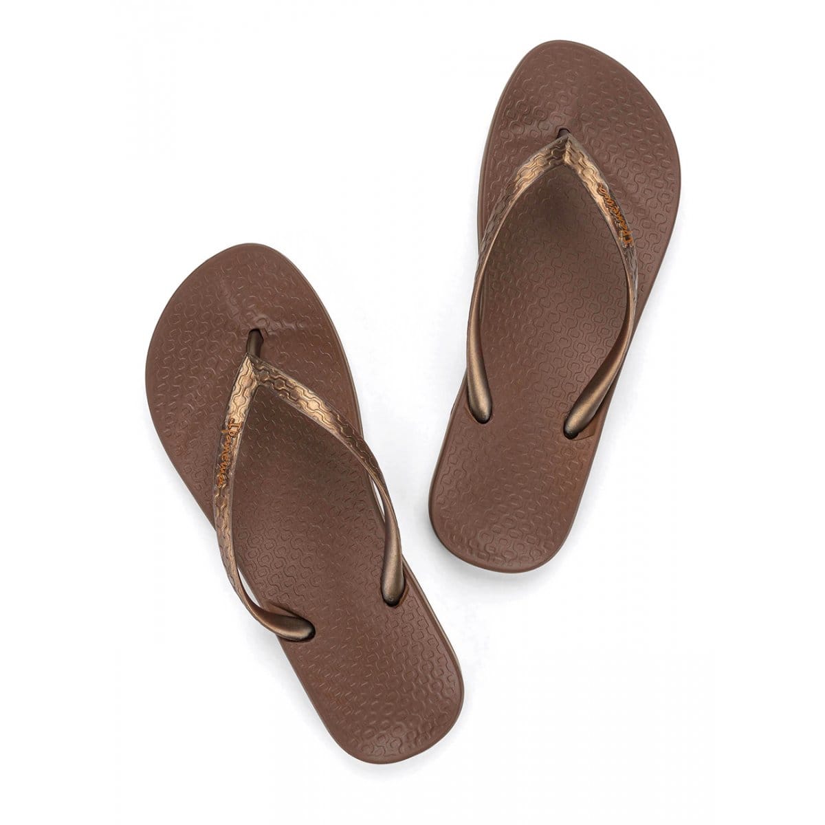 Ipanema Ipanema Anatomica Seasonal - Brown Bronze Ipanema Anatomica Seasonal Brown Bronze Splash Swimwear Thongs