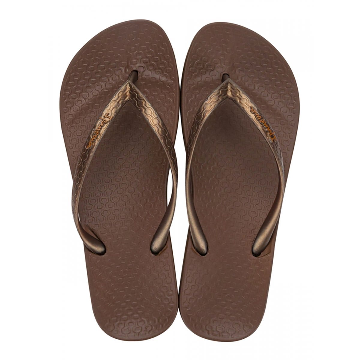 Ipanema Ipanema Anatomica Seasonal - Brown Bronze 81030B-BRBZ-5 Ipanema Anatomica Seasonal Brown Bronze Splash Swimwear Thongs 5 9356082195631