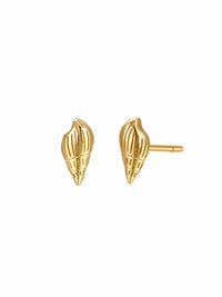 Malakai The Label Cari Conch Studs LKE-502-GLD Splash Swimwear Accessories 95045027