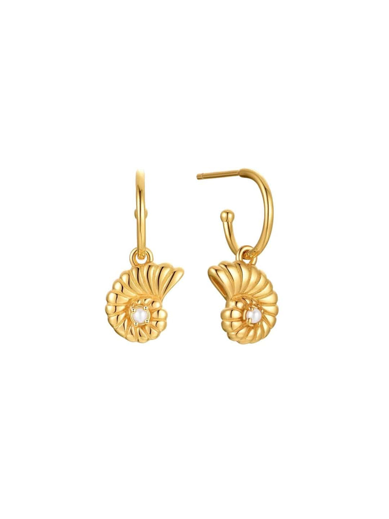 Malakai The Label Nautilus Isle Earrings SSE-706-GLD Splash Swimwear Accessories 49854115