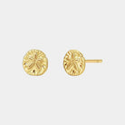 Malakai The Label Sand Dollar Studs Sand Dollar Studs Splash Swimwear Accessories