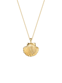 Malakai The Label Sun Shell Necklace SSN-111-GLD Splash Swimwear Accessories 02977443