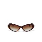 Okkia Eyewear Okkia Lina Sunnies OKO29-CH Okkia Lina Sunnies Splash Swimwear Sunnies Classic Havana 8058093549274