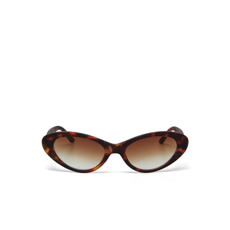Okkia Eyewear Okkia Lina Sunnies OKO29-CH Okkia Lina Sunnies Splash Swimwear Sunnies Classic Havana 8058093549274