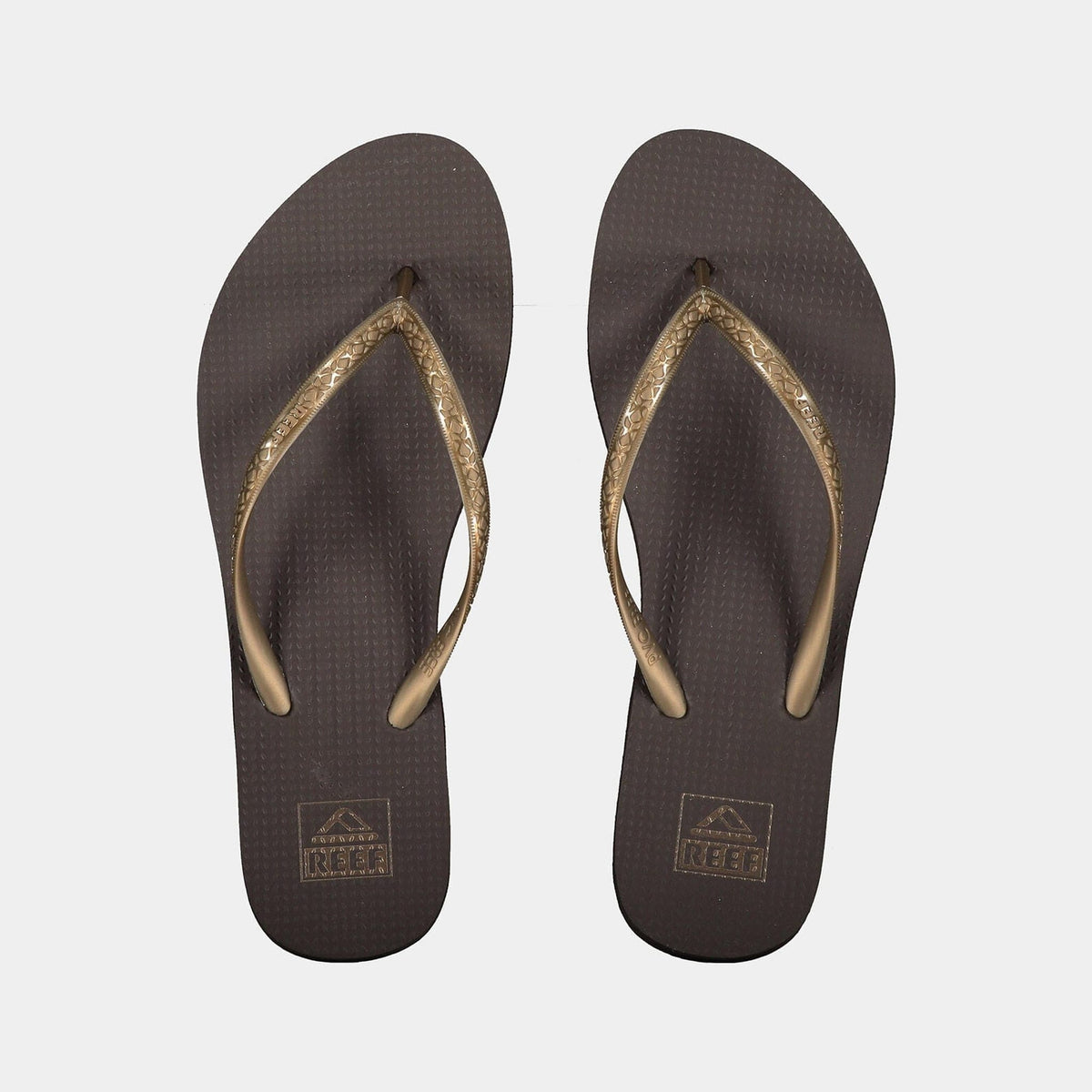 Reef Women's Seaside Thongs - Cocoa Women's Seaside Thongs - Cocoa Splash Swimwear Footwear