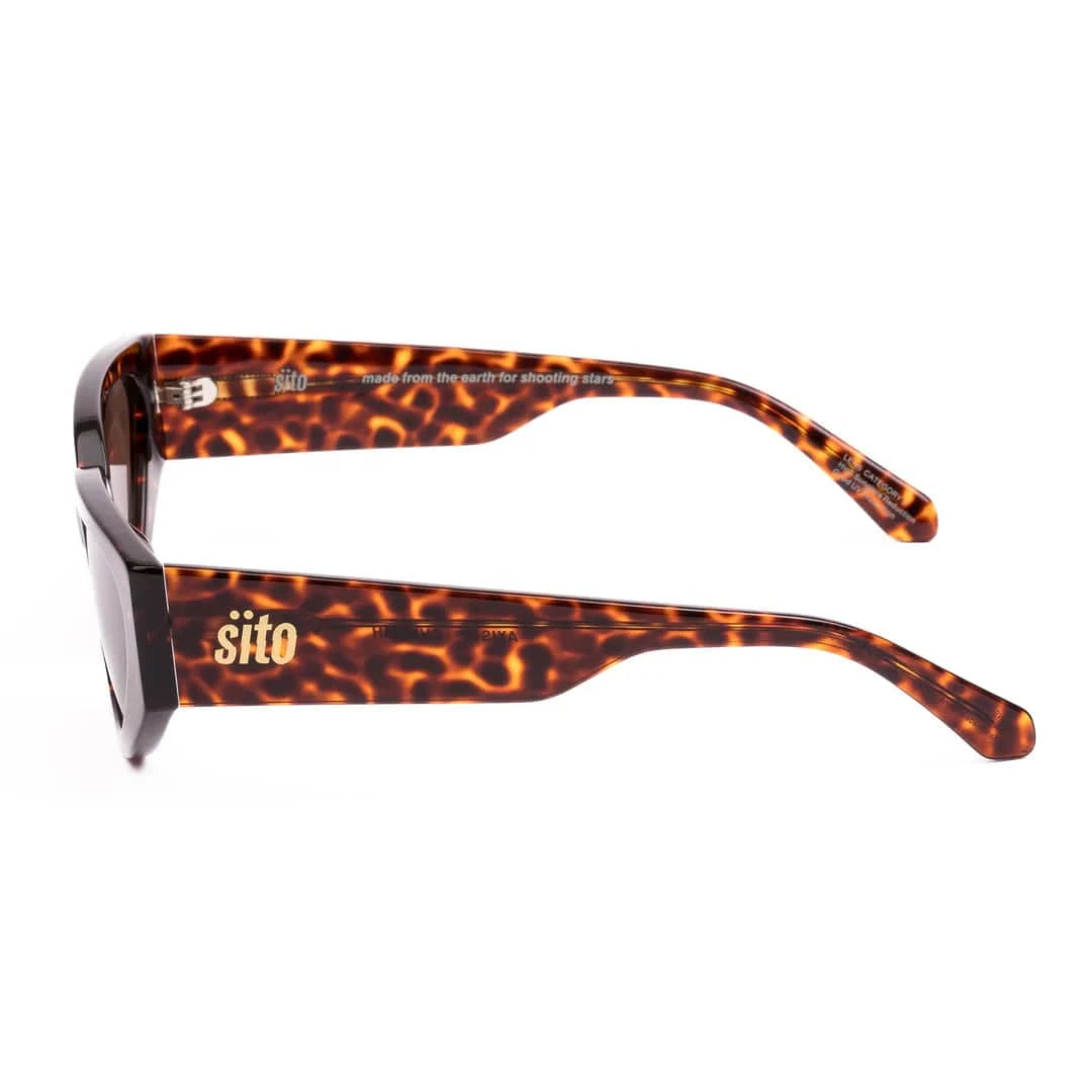 Sito Axis - Cheetah Lens Coffee SIAXS004S Axis - Cheetah Lens Coffee Splash Swimwear 9339740055003