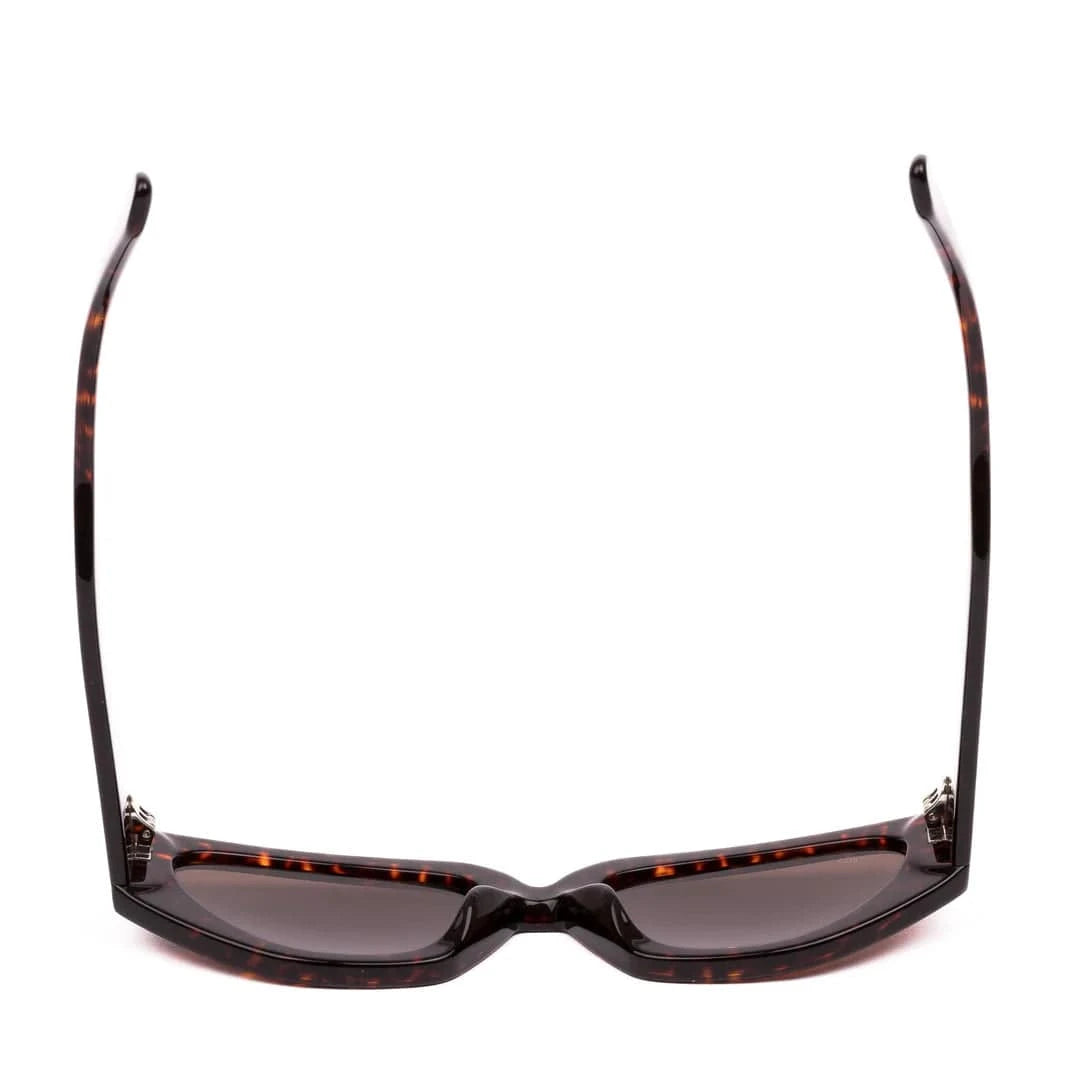 Sito Axis - Cheetah Lens Coffee SIAXS004S Axis - Cheetah Lens Coffee Splash Swimwear 9339740055003