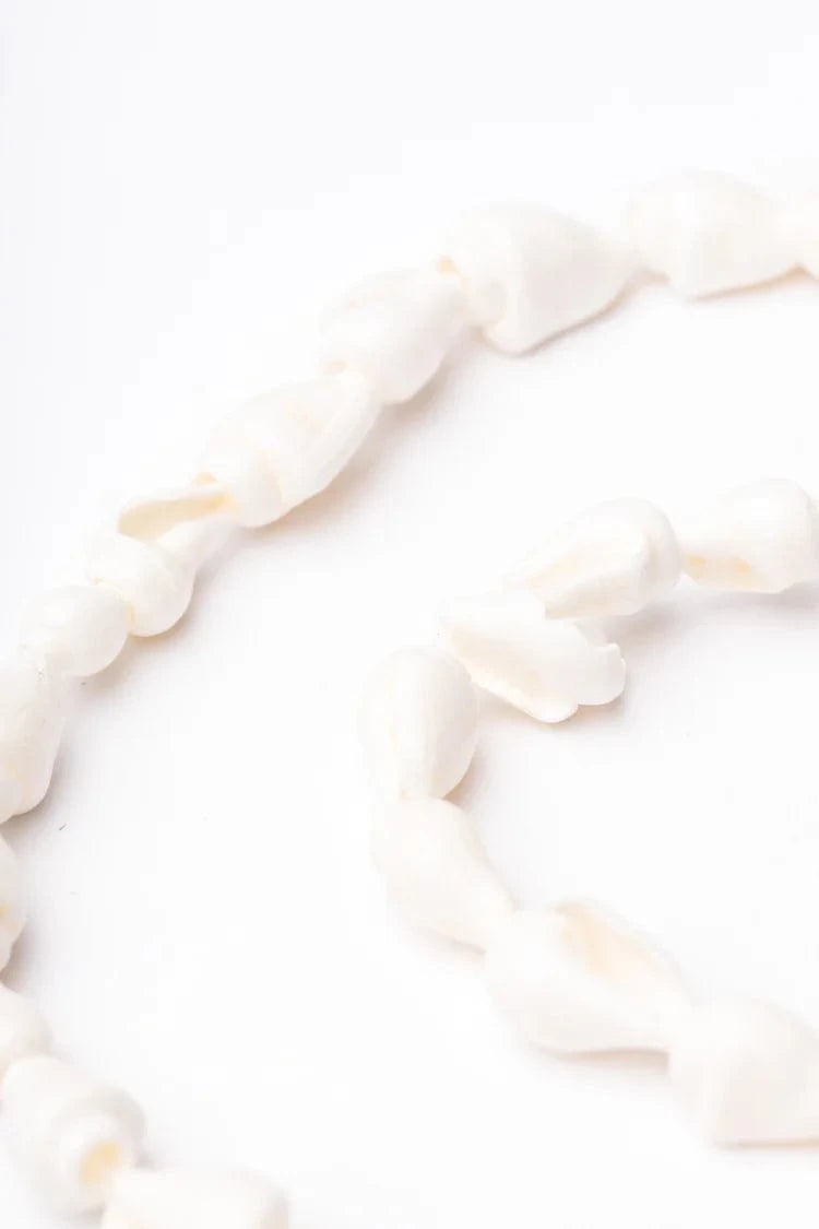 Sito Eyewear Chain - Shell SICHOOIN Eyewear Chain - Shell Splash Swimwear