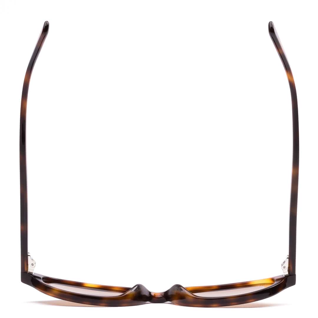 Sito Orion - Classic Tort / Fawn Polarised SIOR10004P Orion - Classic Tort / Fawn Polarised Splash Swimwear 9339740063299