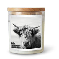 The Commonfolk The Highland Cow Candle* TCC44B Splash Swimwear Health & Beauty 1000010688