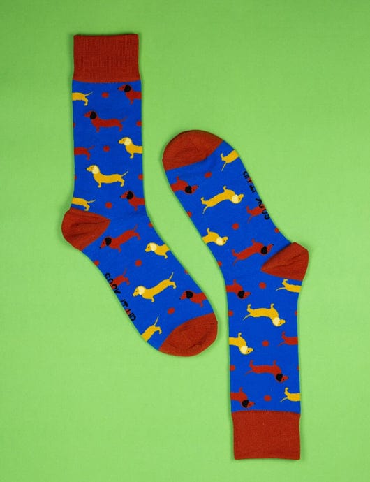 Barking Mad - Sock It Up - Splash Swimwear  - Aug22, Sock It Up, socks - Splash Swimwear 