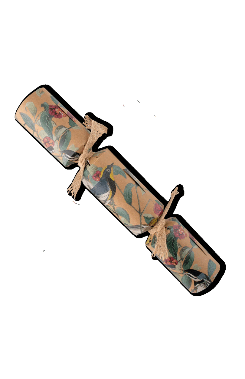 Crackers for Bon Bons Bon Bons - Spring Birds